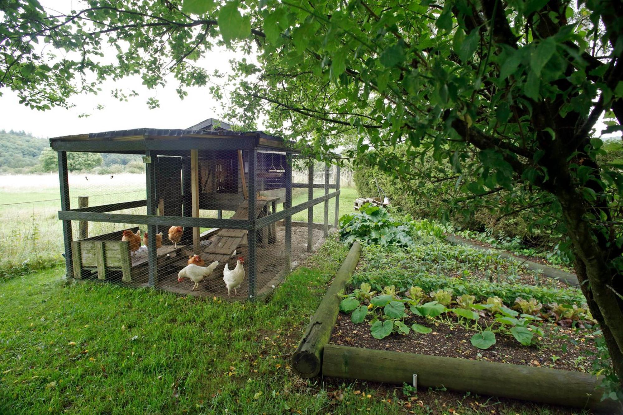 B&B Au Coq En Pate Jalhay Εξωτερικό φωτογραφία